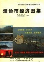 烟台市经济图集 1995 PDF电子版封面 7805321841 烟台日报社,山东省地图出版社编制