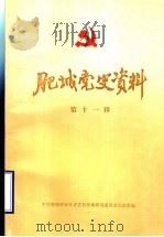 肥城党史资料 第11辑 1993 PDF电子版封面 中共肥城县委党史资料征集研究委员会办公室编