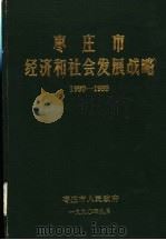 枣庄市经济和社会发展战略 1990-1999 1990 PDF电子版封面 枣庄市人民政府