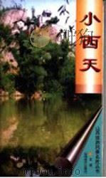 小西天 1998 PDF电子版封面 780636157X 王进主编