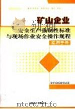 矿山企业安全生产强制性标准与现场作业安全操作规程实用手册  3（ PDF版）