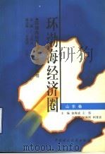 环渤海经济圈：山东卷   1996  PDF电子版封面  7500531729  赵海成，王伟，卢新德，刘淑琪，柯育彦主编 
