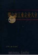 烟台市工业企业大全 1988 PDF电子版封面 7209001042 烟台市地方史志编纂委员会办公室编