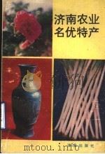 济南农业名优特产 1991 PDF电子版封面 7805724644 王永钵,叶兴福主编