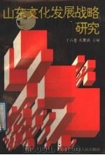 山东文化发展战略研究 1991 PDF电子版封面 7209010378 于占德,孔繁强主编