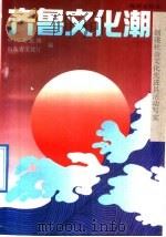 齐鲁文化潮 创建社会文化先进县活动写实 1993 PDF电子版封面 7502732276 中国文化报,山东省文化厅编