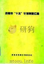 济南市“十五”计划纲要汇编（ PDF版）