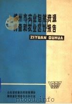 德州市农业自然资源调查和农业区划报告（ PDF版）