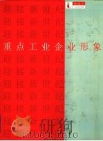 聊城市重点工业企业形象（1998 PDF版）