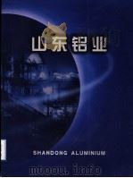 山东铝业（ PDF版）
