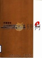 齐鲁钢城济南钢铁集团总公司（ PDF版）