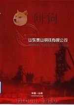 山东泰山钢铁有限公司（ PDF版）