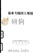 盐业专题国土规划（1990 PDF版）