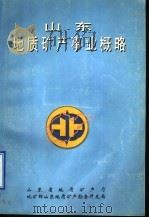 山东地质矿产事业概略（1996 PDF版）