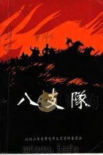 文史资料选辑 第14辑 八支队 1997 PDF电子版封面 政协寿光市文史资料委员会编