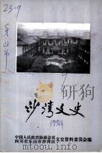 沙湾文史  第9期（ PDF版）