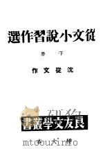 从文小说习作选  下   1990  PDF电子版封面  780569236X  沈从文著 