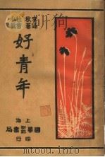 社会小说 好青年 第4集 第十二回 PDF电子版封面 李涵秋著
