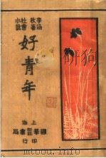 社会小说 好青年 第6集 第十八回 1931 PDF电子版封面 李涵秋著