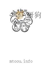 鹦哥 梅花姑娘 1929 PDF电子版封面 徐绿芙著