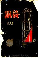 期待 1929 PDF电子版封面 殷泉著