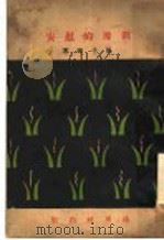 刹那的慰安 1930 PDF电子版封面 张子海著