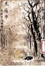 黑肩巾  上   1917  PDF电子版封面    天游译 