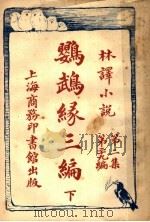 鹦鹉绿三编 第2集 第29编 下 1914 PDF电子版封面 王庆通