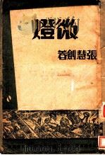 微灯（ PDF版）