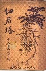 细君塔 第4版 1924 PDF电子版封面 徐卓呆著