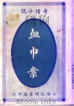 奇情小说  血巾案（1915 PDF版）