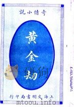 奇情小说  黄金劫（1915 PDF版）