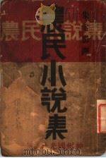 农民小说集 1932 PDF电子版封面 朱云影译