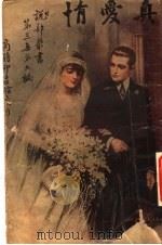 情爱真  第3集  第9编  第2版（1920 PDF版）
