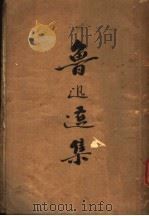 鲁迅选集 1936 PDF电子版封面 徐仲年著