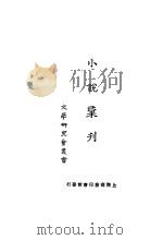 小说汇刊 1922 PDF电子版封面 叶绍钧等著