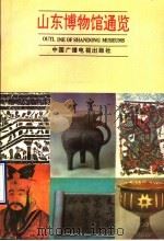 山东博物馆通览 1993 PDF电子版封面 7504323810 蒋英炬,周昌富主编;严强,郑岩编辑