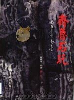 齐鲁石玩（ PDF版）