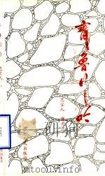 齐鲁行吟   1985  PDF电子版封面  10099·1806  范宜人，傅先诗 