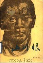 山川恨 1992 PDF电子版封面 7543610752 李向春著