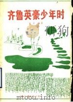 齐鲁英豪少年时 1992 PDF电子版封面 7504317926 于卓编著