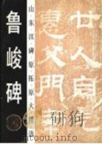 鲁峻碑 1993 PDF电子版封面 7533303148 宫衍兴编