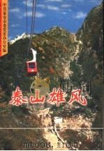 泰山雄风:泰安改革开放二十年纪实 1998 PDF电子版封面 7800656756 中共泰安市委党史办公室编