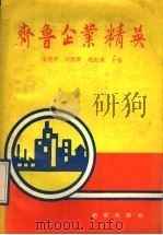 齐鲁企业精英 1989 PDF电子版封面 7800192156 陶传平,刘德军,巩庆海主编