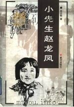 小先生赵凤龙 1999 PDF电子版封面 7801520629 曲志敏著