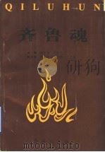 齐鲁魂 1994 PDF电子版封面 780068511X 刘传夫,吴秉忱主编