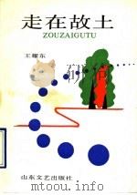 走在故土 1991 PDF电子版封面 7532907988 王耀东著