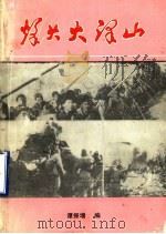 烽火大泽山 1993 PDF电子版封面 谭振增主编