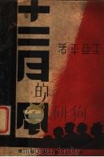 十二月的风 1936 PDF电子版封面 王亚平著