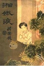 湘娥泪 第2版 1914 PDF电子版封面 醒独著